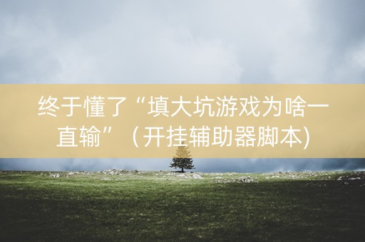 终于懂了“填大坑游戏为啥一直输”（开挂辅助器脚本)
