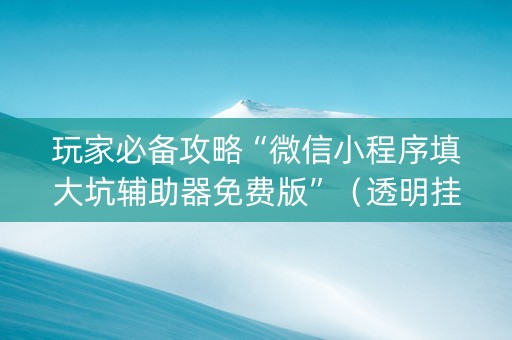 玩家必备攻略“微信小程序填大坑辅助器免费版”（透明挂辅助器)