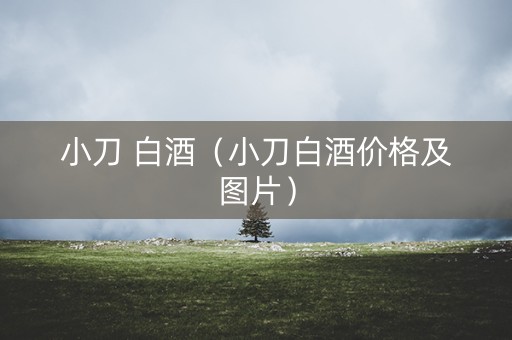 小刀 白酒（小刀白酒价格及图片）
