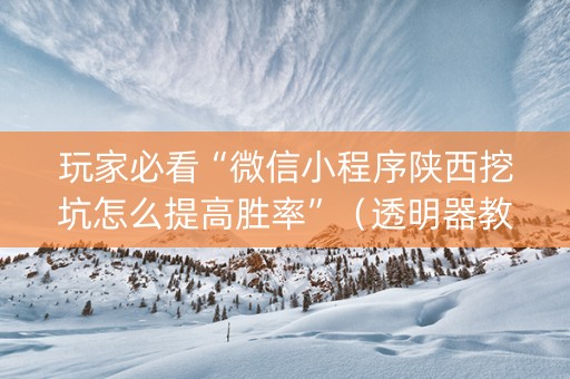 玩家必看“微信小程序陕西挖坑怎么提高胜率”（透明器教程)