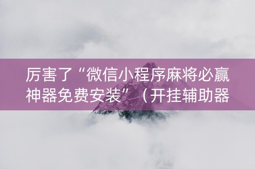 厉害了“微信小程序麻将必赢神器免费安装”（开挂辅助器插件)