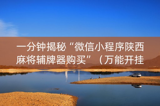 一分钟揭秘“微信小程序陕西麻将辅牌器购买”（万能开挂神器)