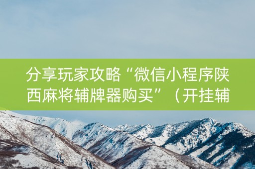 分享玩家攻略“微信小程序陕西麻将辅牌器购买”（开挂辅助器脚本)