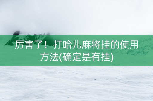 厉害了！打哈儿麻将挂的使用方法(确定是有挂)