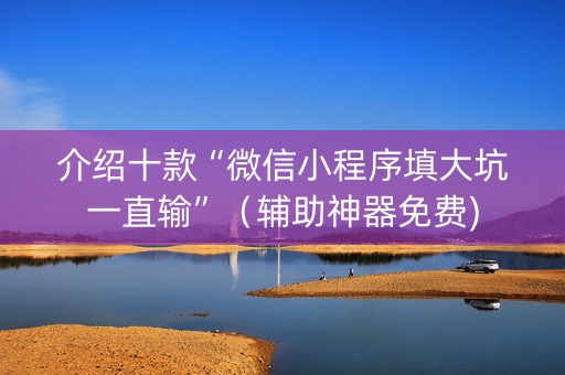 介绍十款“微信小程序填大坑一直输”（辅助神器免费)
