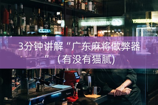 3分钟讲解“广东麻将做弊器”（有没有猫腻)