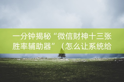 一分钟揭秘“微信财神十三张胜率辅助器”（怎么让系统给自己好牌)