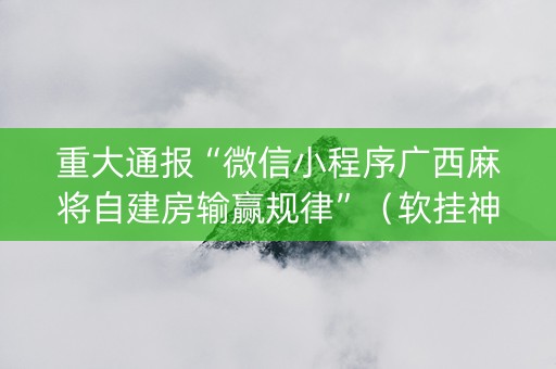 重大通报“微信小程序广西麻将自建房输赢规律”（软挂神器)