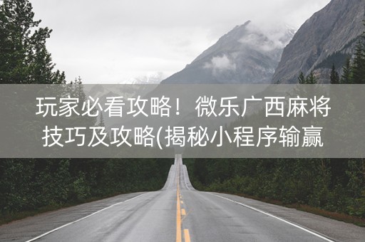 玩家必看攻略！微乐广西麻将技巧及攻略(揭秘小程序输赢技巧)