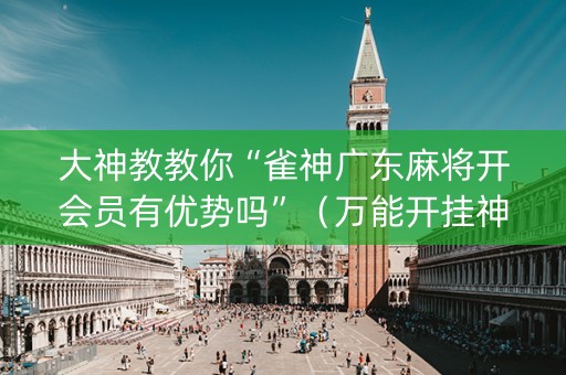 大神教教你“雀神广东麻将开会员有优势吗”（万能开挂神器)