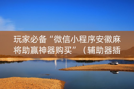 玩家必备“微信小程序安徽麻将助赢神器购买”（辅助器插件)