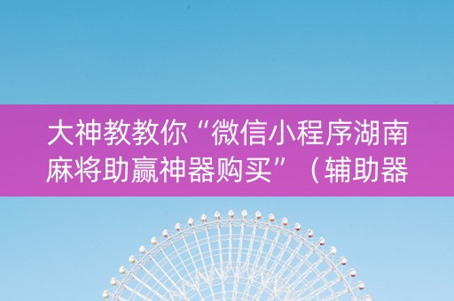 大神教教你“微信小程序湖南麻将助赢神器购买”（辅助器插件)