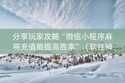 分享玩家攻略“微信小程序麻将充值能提高胜率”（软挂神器)