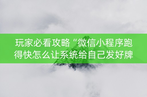 玩家必看攻略“微信小程序跑得快怎么让系统给自己发好牌”（控牌器)