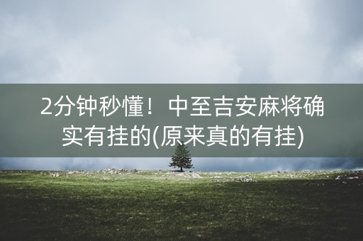 2分钟秒懂！中至吉安麻将确实有挂的(原来真的有挂)