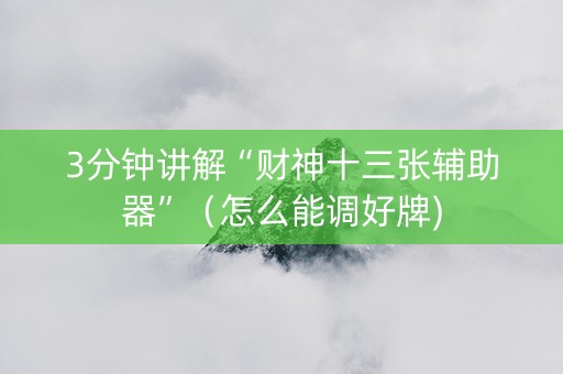 3分钟讲解“财神十三张辅助器”（怎么能调好牌)