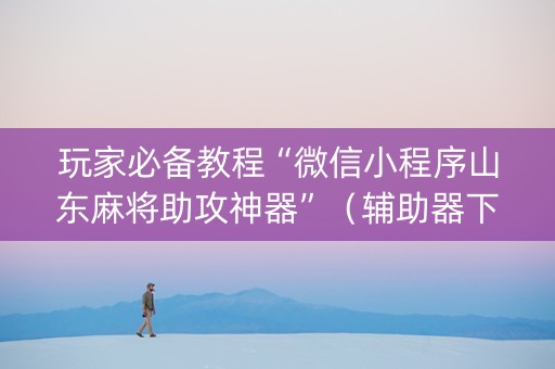 玩家必备教程“微信小程序山东麻将助攻神器”（辅助器下载)