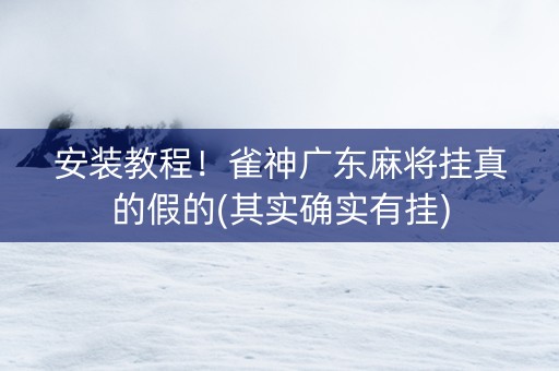 安装教程！雀神广东麻将挂真的假的(其实确实有挂)