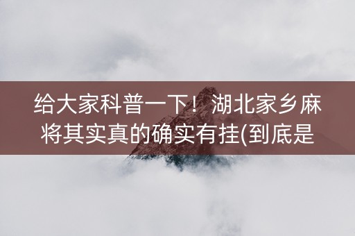 给大家科普一下！湖北家乡麻将其实真的确实有挂(到底是不是有挂)