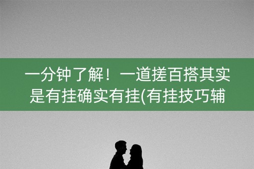 一分钟了解！一道搓百搭其实是有挂确实有挂(有挂技巧辅助器)