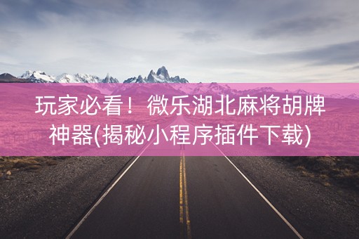 玩家必看！微乐湖北麻将胡牌神器(揭秘小程序插件下载)