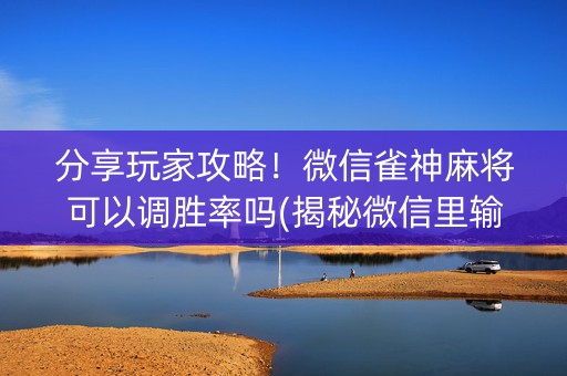 分享玩家攻略！微信雀神麻将可以调胜率吗(揭秘微信里输赢技巧)