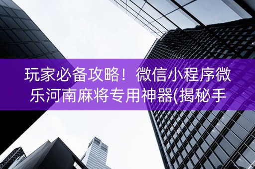 玩家必备攻略！微信小程序微乐河南麻将专用神器(揭秘手机上辅牌器)