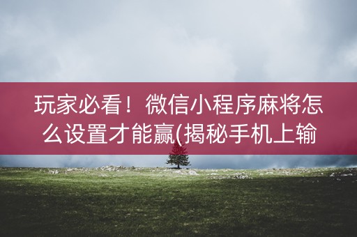 玩家必看！微信小程序麻将怎么设置才能赢(揭秘手机上输赢规律)
