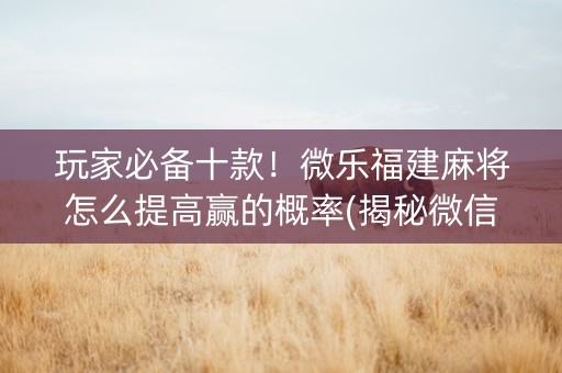 玩家必备十款！微乐福建麻将怎么提高赢的概率(揭秘微信里攻略插件)