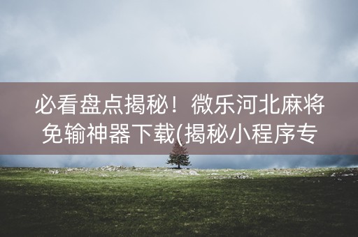 必看盘点揭秘！微乐河北麻将免输神器下载(揭秘小程序专用神器下载)