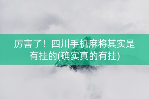 厉害了！四川手机麻将其实是有挂的(确实真的有挂)