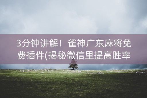 3分钟讲解！雀神广东麻将免费插件(揭秘微信里提高胜率)