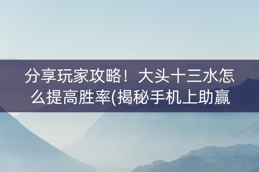 分享玩家攻略！大头十三水怎么提高胜率(揭秘手机上助赢软件)