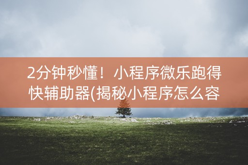 2分钟秒懂！小程序微乐跑得快辅助器(揭秘小程序怎么容易赢)