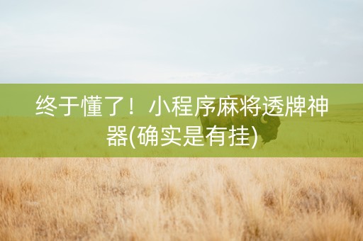 终于懂了！小程序麻将透牌神器(确实是有挂)