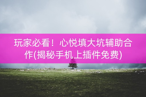 玩家必看！心悦填大坑辅助合作(揭秘手机上插件免费)