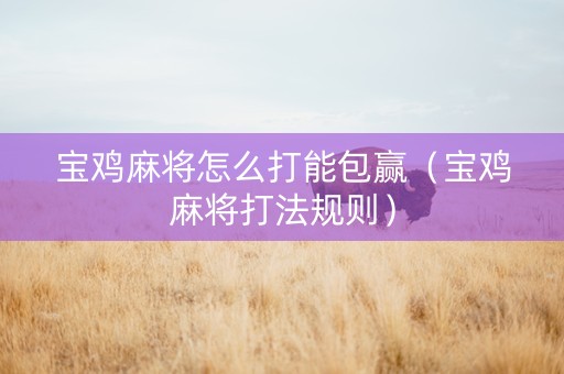 宝鸡麻将怎么打能包赢（宝鸡麻将打法规则）