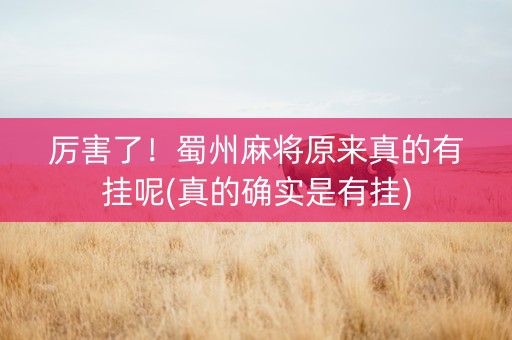 厉害了！蜀州麻将原来真的有挂呢(真的确实是有挂)