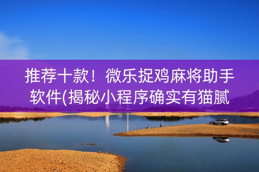 推荐十款！微乐捉鸡麻将助手软件(揭秘小程序确实有猫腻)