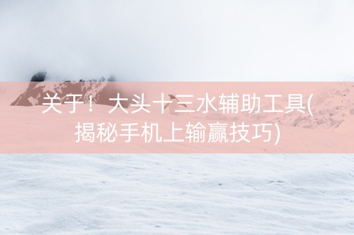 关于！大头十三水辅助工具(揭秘手机上输赢技巧)