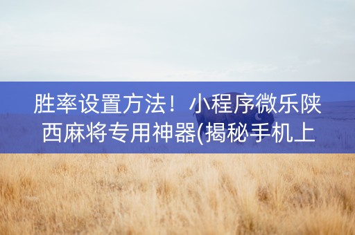 胜率设置方法！小程序微乐陕西麻将专用神器(揭秘手机上胜率到哪调)