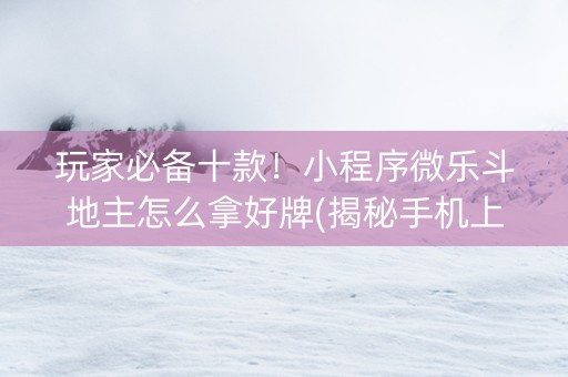 玩家必备十款！小程序微乐斗地主怎么拿好牌(揭秘手机上专用神器下载)