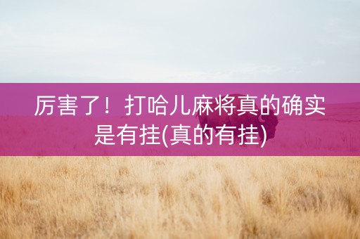 厉害了！打哈儿麻将真的确实是有挂(真的有挂)