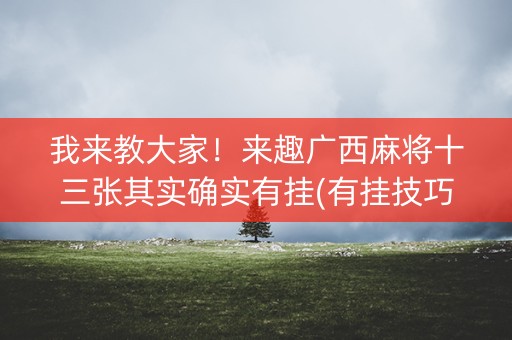 我来教大家！来趣广西麻将十三张其实确实有挂(有挂技巧辅助器)