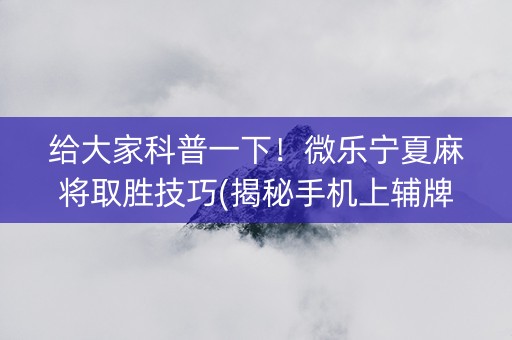 给大家科普一下！微乐宁夏麻将取胜技巧(揭秘手机上辅牌器)