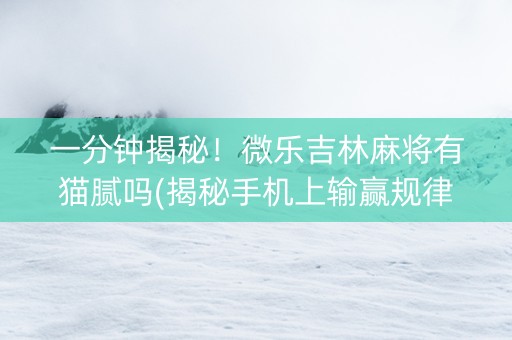 一分钟揭秘！微乐吉林麻将有猫腻吗(揭秘手机上输赢规律)
