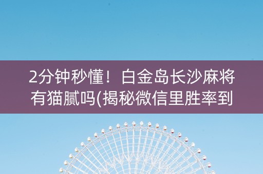 2分钟秒懂！白金岛长沙麻将有猫腻吗(揭秘微信里胜率到哪调)