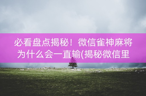 必看盘点揭秘！微信雀神麻将为什么会一直输(揭秘微信里助手软件)