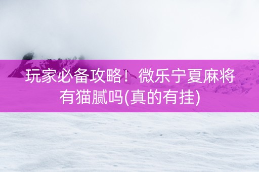 玩家必备攻略！微乐宁夏麻将有猫腻吗(真的有挂)