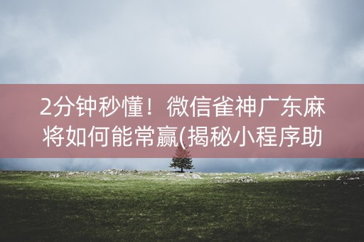 2分钟秒懂！微信雀神广东麻将如何能常赢(揭秘小程序助赢软件)